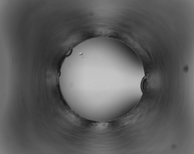 X0000101200474200807071318