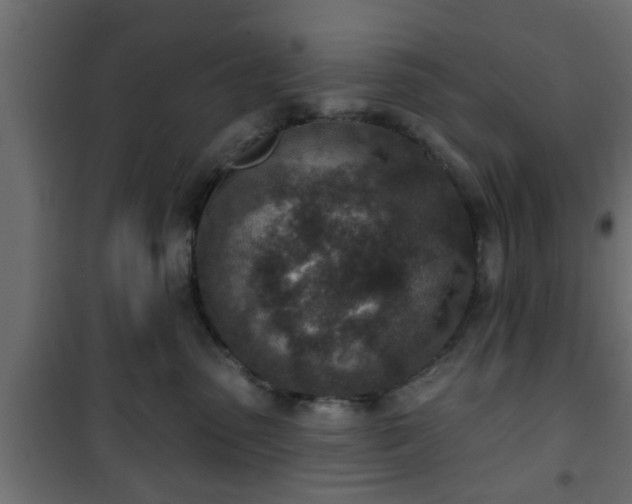 X0000101200475200807071319