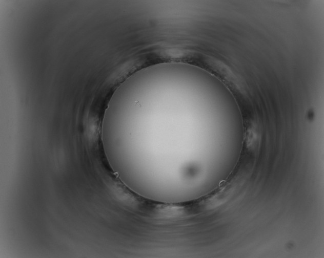 X0000101200476200807071319