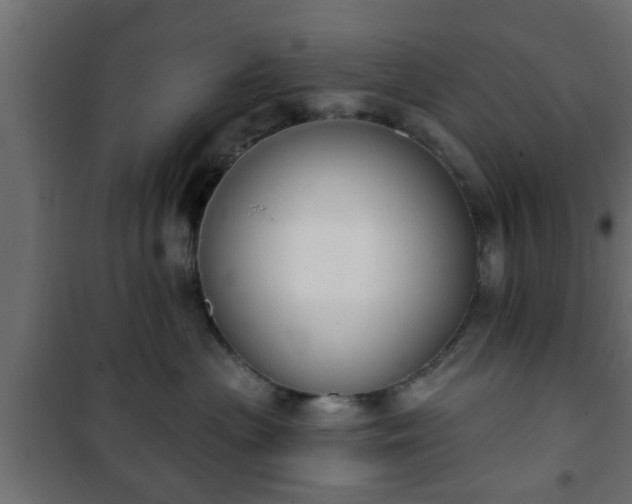 X0000101200477200807071319