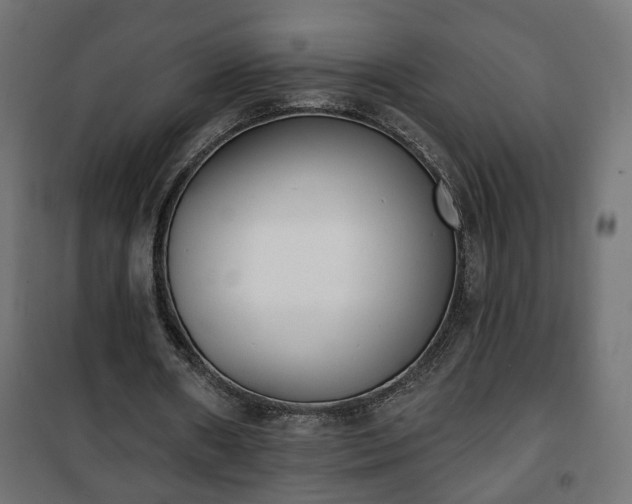 X0000101200482200807071318