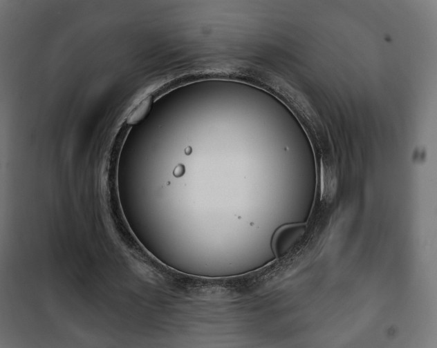 X0000101200483200807071318