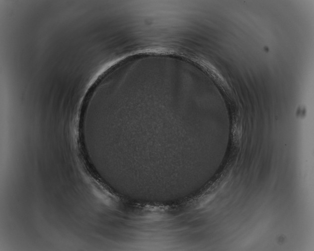 X0000101200484200807071318