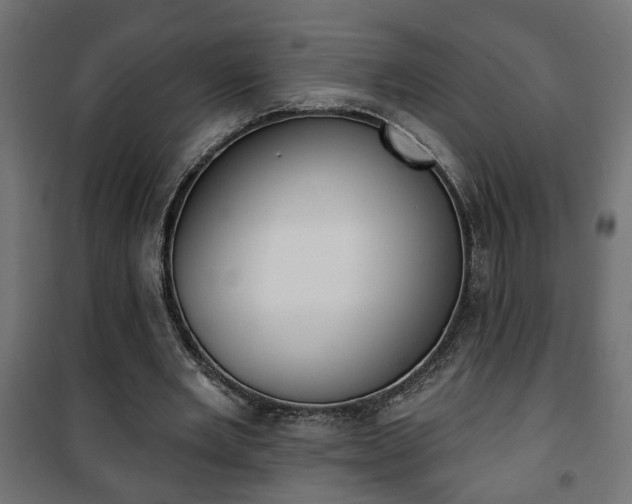 X0000101200485200807071318
