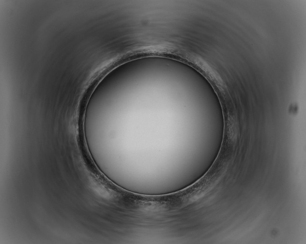 X0000101200486200807071318