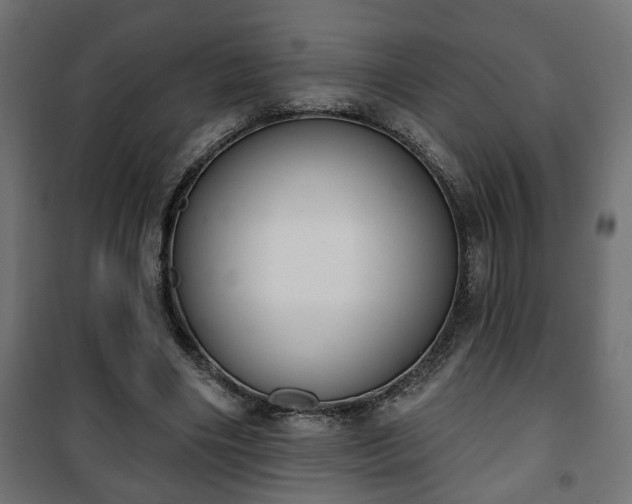 X0000101200490200807071318