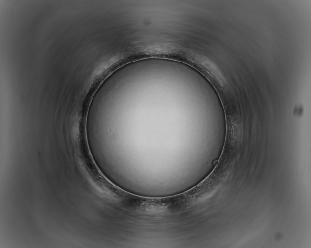 X0000101200491200807071318