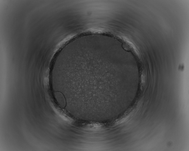 X0000101200492200807071318