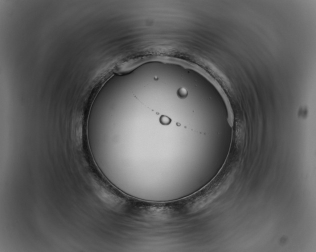 X0000101200493200807071318
