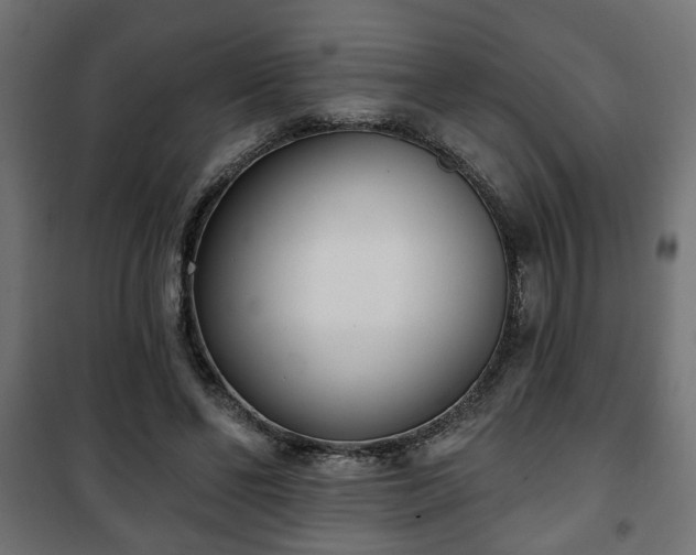 X0000101200494200807071318
