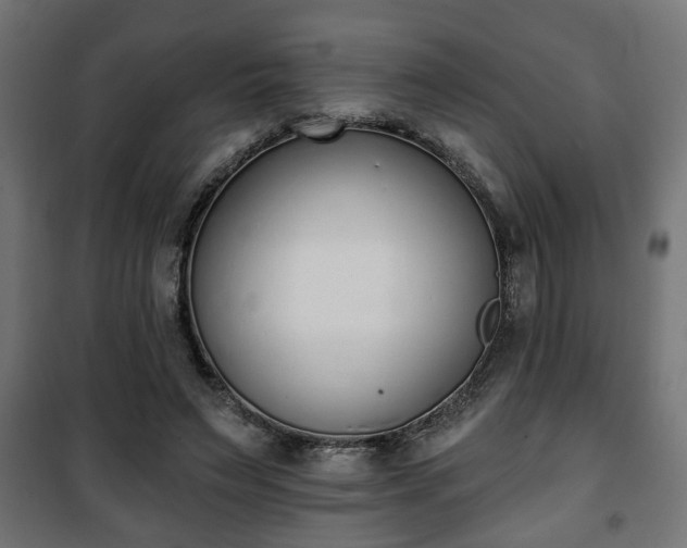 X0000101200495200807071318