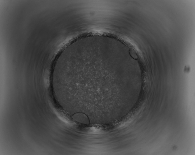 X0000101200496200807071318