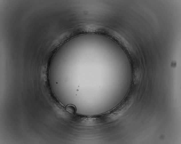 X0000101200497200807071317