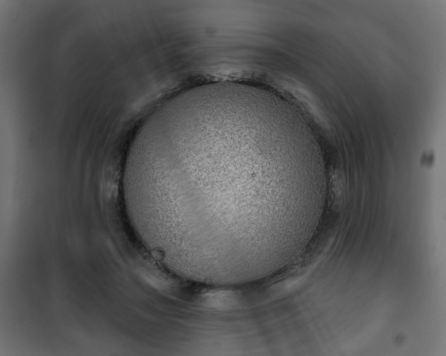 X0000101200499200807071317