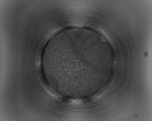 X0000101200500200807071317