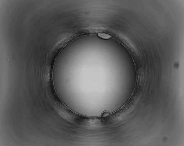 X0000101200501200807071317