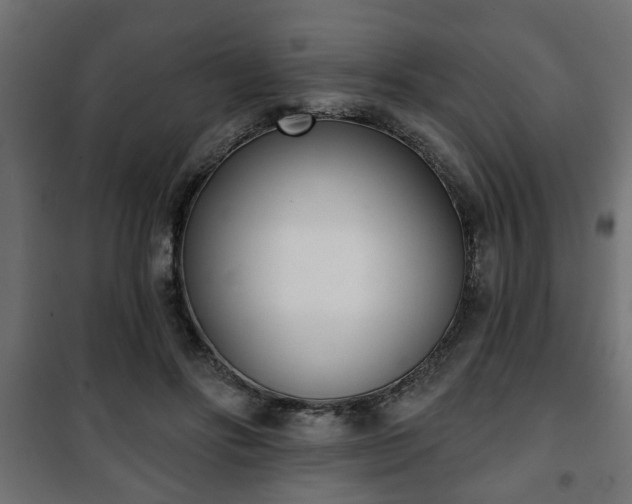 X0000101200502200807071317