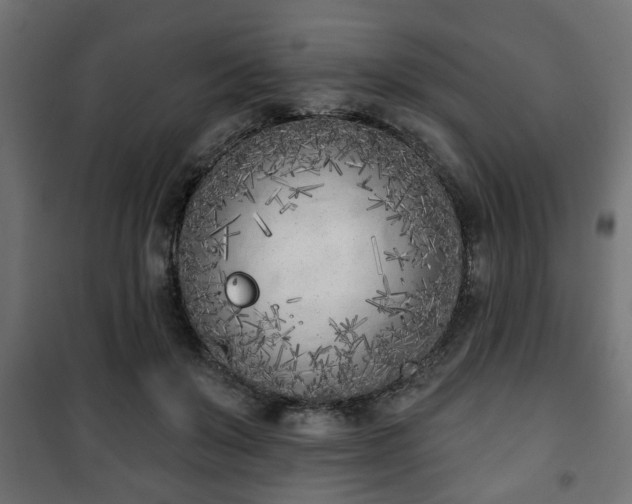 X0000101200503200807071317