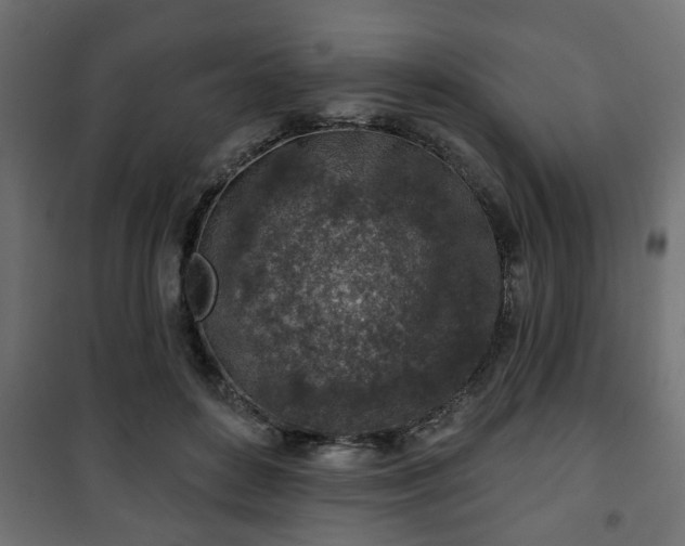 X0000101200504200807071317