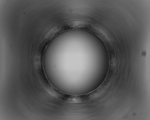 X0000101200506200807071317