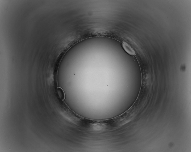 X0000101200508200807071317