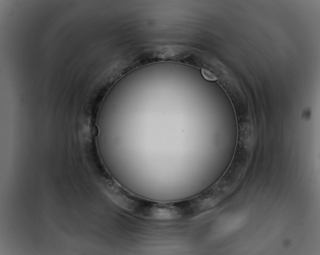 X0000101200510200807071317