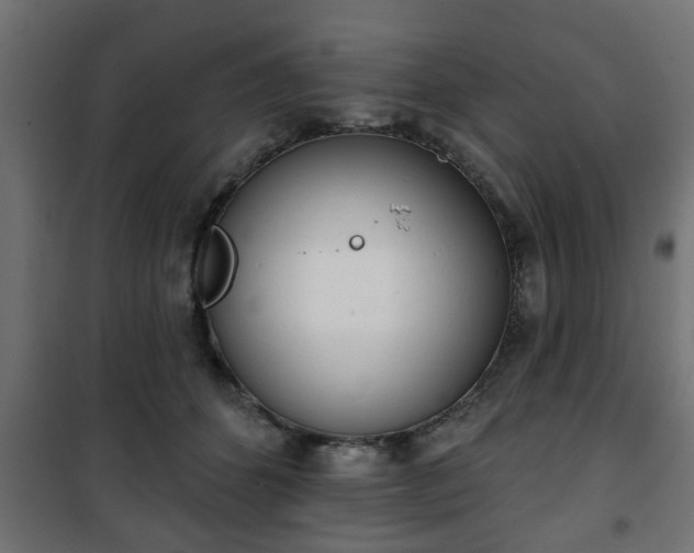 X0000101200512200807071317
