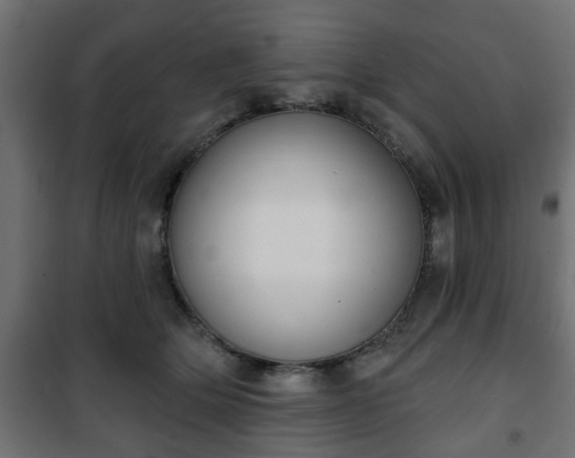 X0000101200514200807071317
