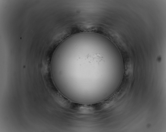 X0000101200515200807071317