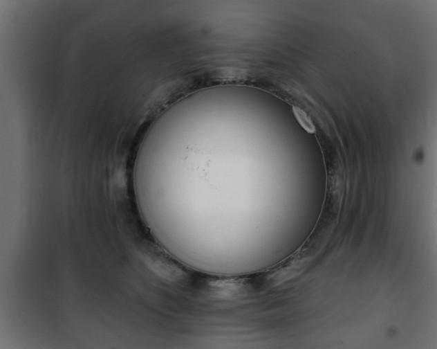 X0000101200516200807071317
