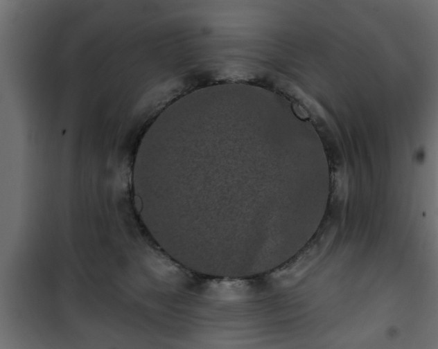 X0000101200517200807071317