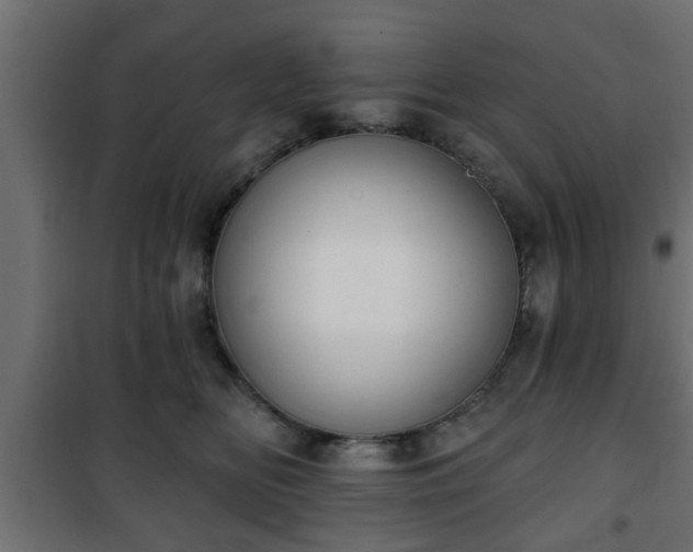 X0000101200518200807071317