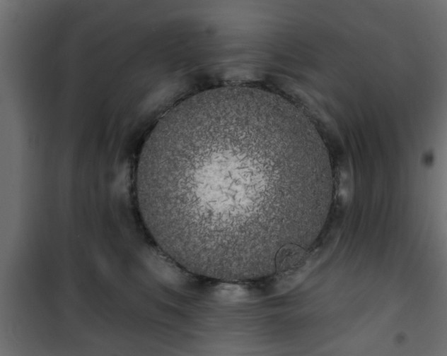 X0000101200519200807071317