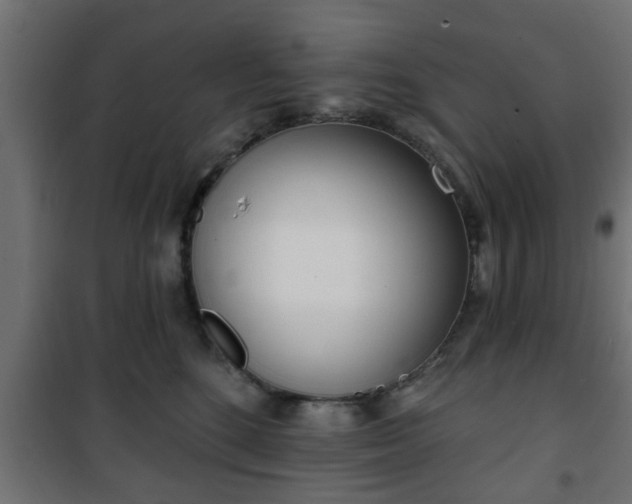 X0000101200520200807071317