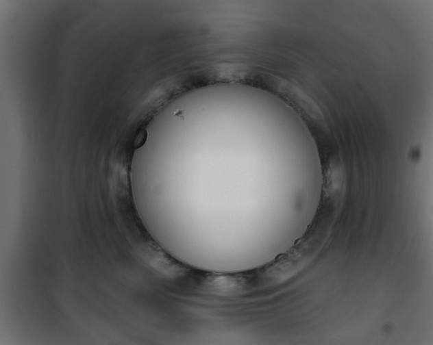 X0000101200522200807071317