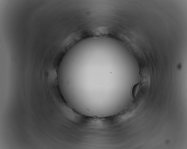 X0000101200523200807071317