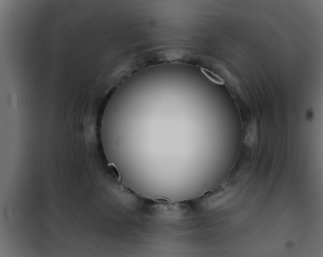 X0000101200524200807071317
