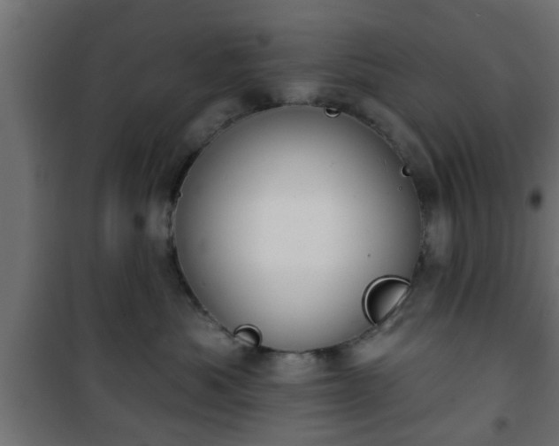 X0000101200525200807071317