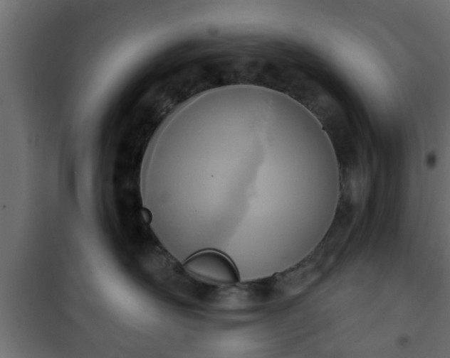 X0000101200526200807071317