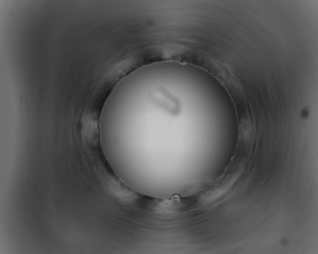 X0000101200527200807071317
