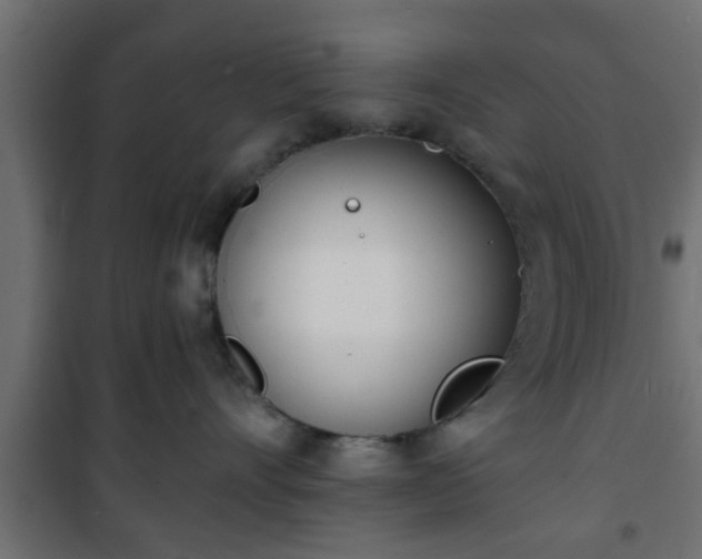 X0000101200528200807071317