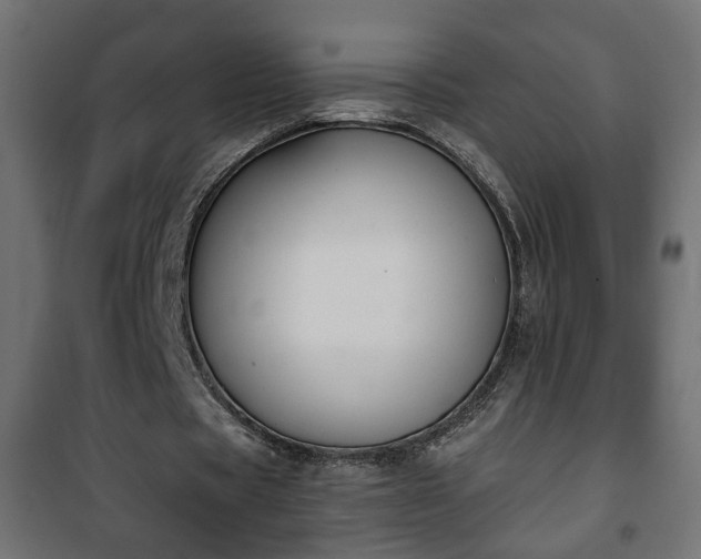 X0000101200529200807071316