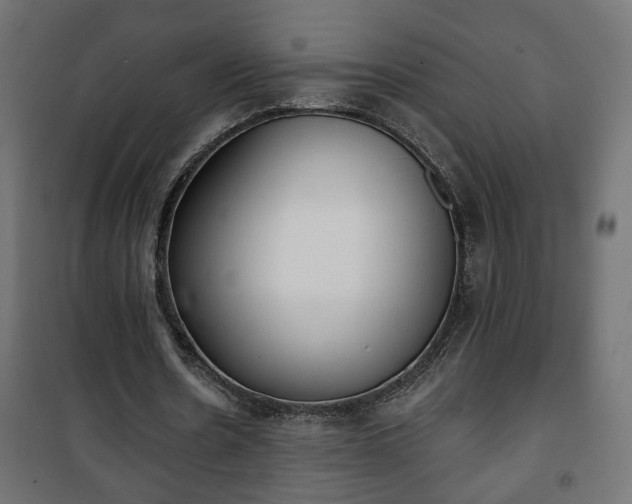 X0000101200530200807071316