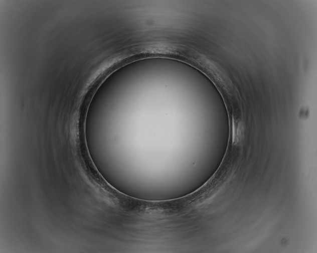 X0000101200531200807071316