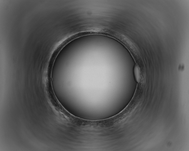 X0000101200532200807071316
