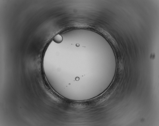 X0000101200533200807071316