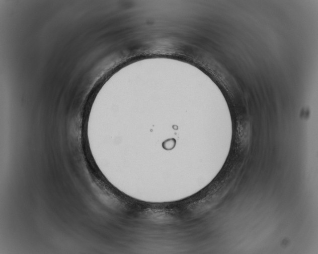X0000101200534200807071316