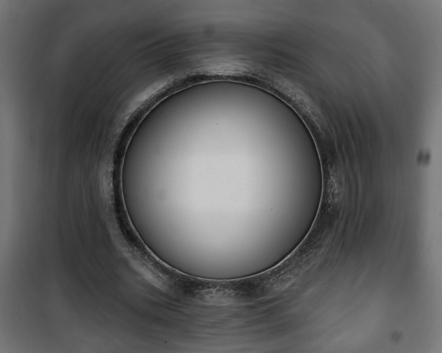 X0000101200535200807071316