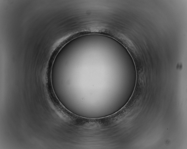 X0000101200536200807071316