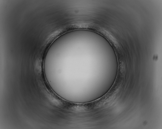 X0000101200537200807071316